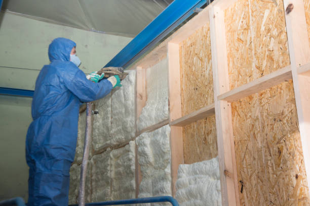 Best Home Insulation Services  in Old Westbury, NY